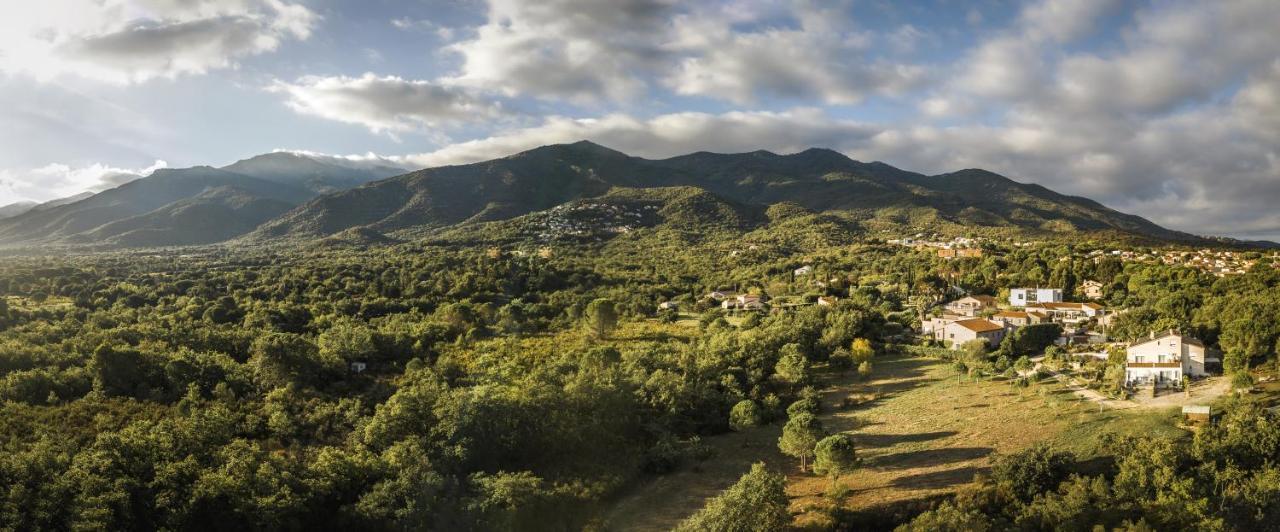 Domaine Pedra Llampada Gite Cerise Villelongue-dels-Monts Kültér fotó